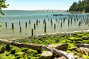 Astoria Prints: Washington State, Pacific County, Megler
