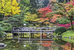 Images Dated 24th June 2021: Washington State, Seattle. Autumn color, Japanese Garden