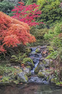 Washington State, Seattle. Autumn Color at Kubota Garden