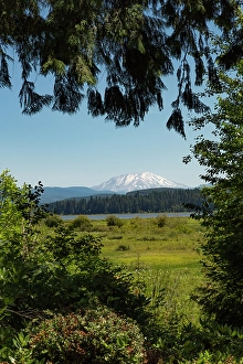 Clear Sky Prints: Washington State, Skamania County