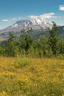 Crater Prints: Washington State, Skamania County