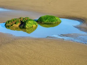 Images Dated 17th May 2024: Washington State, USA. Olympic National Park
