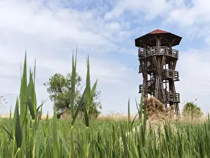 Images Dated 1st May 2015: Watch tower at the fish ponds of Hortobagy (Hortobagy halasto) in the Hortobagy National
