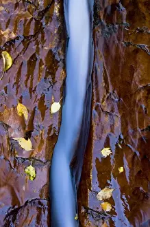 Sand Stone Prints: Water cuts a narrow channel through the red sandstone in the Left Fork of the Virgin