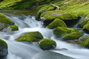 Smoky Prints: Water Falling over Boulders on Roaring Fork Motor Nature Trail