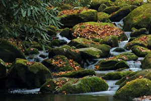 Water Falling over Boulders on Roaring Fork Motor Nature Trail