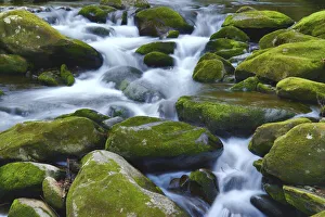Images Dated 3rd September 2020: Water Falling over Boulders on Roaring Fork Motor Nature Trail