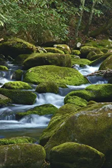 Images Dated 3rd September 2020: Water Falling over Boulders on Roaring Fork Motor Nature Trail