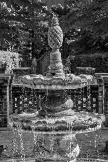 Pineapple Prints: Water fountain in Pinehurst, North Carolina