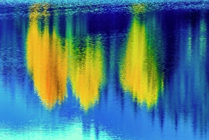 New Images March 2024 Part 1 Prints: Water reflection abstract, Gold Lake