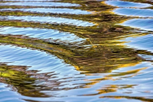 Marsh Prints: Water reflections behind small boat in the Pantanal region
