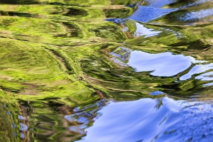 Marsh Prints: Water reflections behind small boat in the Pantanal region