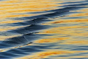 Images Dated 10th September 2018: Water ripples, Chobe River, Chobe National Park. North-West District, Botswana