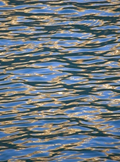 Water with sunlight reflection, South Georgia, Antarctica