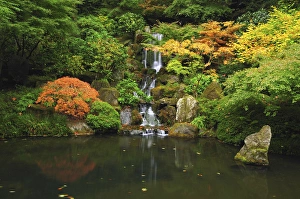 Waterfall in Autunn at the Portland Japanese Garden, Portland, Oregon, USA