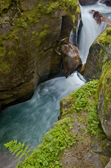 Fluid Prints: Waterfall at Avalanche Gorge and Creek, Glacier National Park, Montana