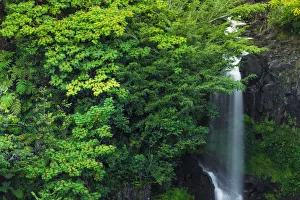 Images Dated 27th October 2013: Waterfall on the Hamakua Coast, Big Island, Hawaii, USA