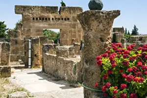 Archaeological Prints: Waterfall House, Utica Punic and Roman archaeological site, 1101 a. C. Tunisia