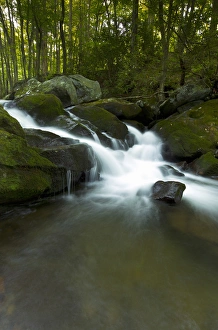 Images Dated 13th August 2011: Waterfall, Middle Prong Trailhead, Great Smoky Mountains National Park, TN