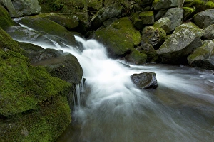 Images Dated 13th August 2011: Waterfall, Middle Prong Trailhead, Great Smoky Mountains National Park, TN