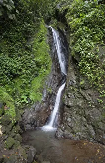 Place Prints: Waterfall in Mistico Hanging Bridges Park, Costa Rica