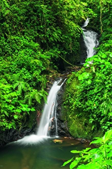 Monteverde Cloud Forest Biologi Prints: Waterfall in Monte Verde Cloud Forest Preserve, Alajuela Province, Costa Rica