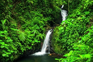 Costa Rica Prints: Waterfall in Monte Verde Cloud Forest Preserve, Alajuela Province, Costa Rica