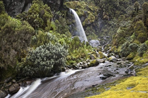 Waterfall at Mount Stanley, Ruwenzori, Uganda