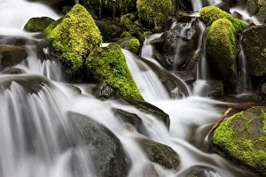 Natural Beauty Prints: Waterfall. Olympic National Park, Washington, US