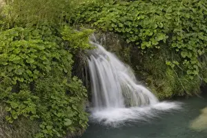Plitvice Lakes Prints: Waterfall, Plitvice Lakes National Park and UNESCO World Heritage cite, Croatia