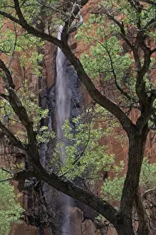 James Kay Prints: Waterfall plunges 1000 feet into Zion Canyon above Temple of Sinewava, Zion National Park