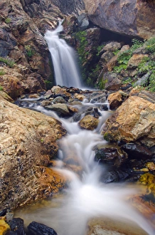Alta Prints: Waterfall in Stairs Gulch, Big Cottonwood Canyon