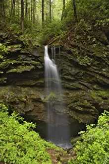 Images Dated 27th April 2006: Waterfall, Whiteoak Sinks, Great Smoky Mountains National Park, Tennessee