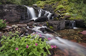 Waterfall and wildflowers, Waterton Glacier International Peace Park, USA - Canada