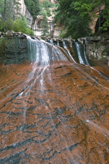 Fresh Water Prints: Waterfall, Zion National Park, Utah, USA