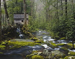 Blurred Motion Prints: Watermill by stream in forest, Roaring Fork, Great Smoky Mountains National Park