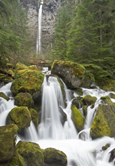 Basalt Prints: Watson creek and falls, Oregon