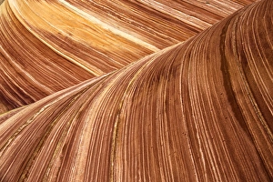 North Coyote Buttes Prints: The Wave Abstract Zion Utah USA