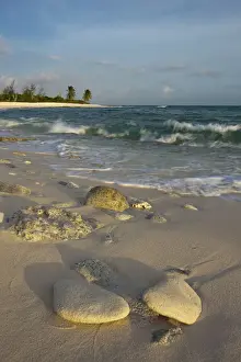 Images Dated 25th June 2009: Waves crashing on crushed coral and coral fossils on the beaches of Punta Arena