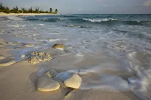 Images Dated 25th June 2009: Waves crashing on crushed coral and coral fossils on the beaches of Punta Arena
