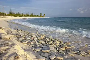 Images Dated 25th June 2009: Waves crashing on crushed coral and coral fossils on the beaches of Punta Arena