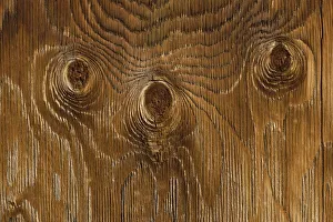 Rustic Prints: Weathered plywood on historic building, Grand Teton National Park, Wyoming