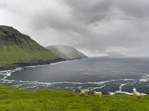 West Coast Prints: The west coast at Nordradalur. The island Streymoy, one of the two large islands