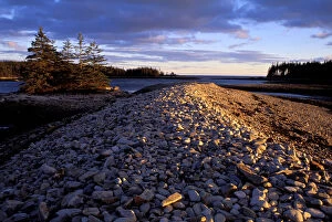 West Pond Cove, Acadia N.P. ME. Rocky Coast. Schoodic Peninsula. The rocky barrier
