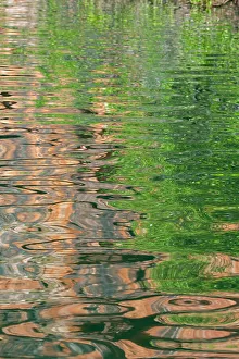 Images Dated 8th January 2023: Western Australia, Kimberley, Balanggarra Country, King George River. River reflection