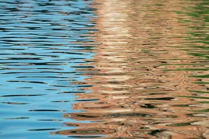 Images Dated 8th January 2023: Western Australia, Kimberley, Balanggarra Country, King George River. River reflection
