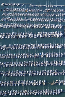 Yacht Prints: Westhaven Marina, Auckland, North Island, New Zealand - aerial