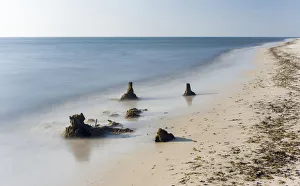 The Weststrand (western beach) on the Darss Peninsula