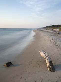Weststrand Prints: The Weststrand (western beach) on the Darss Peninsula