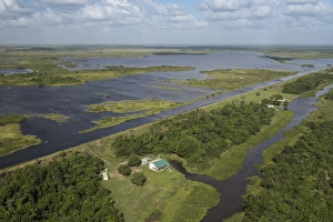 Guyana Prints: Wetland MMA, Abari Swamps, Mahaica Miconi Abari, GUYANA